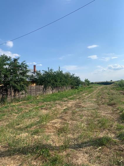 Teren Construcții intravilan de 3487 mp, în Petrăchioaia