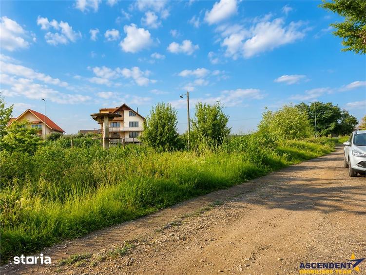 Teren intravilan 10.000 mp, parcelabil, plan, acces asfaltat, Bod, Bra - 7