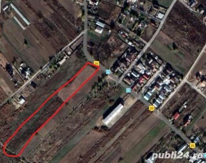 Teren de 5000 mp, în Dumitrana