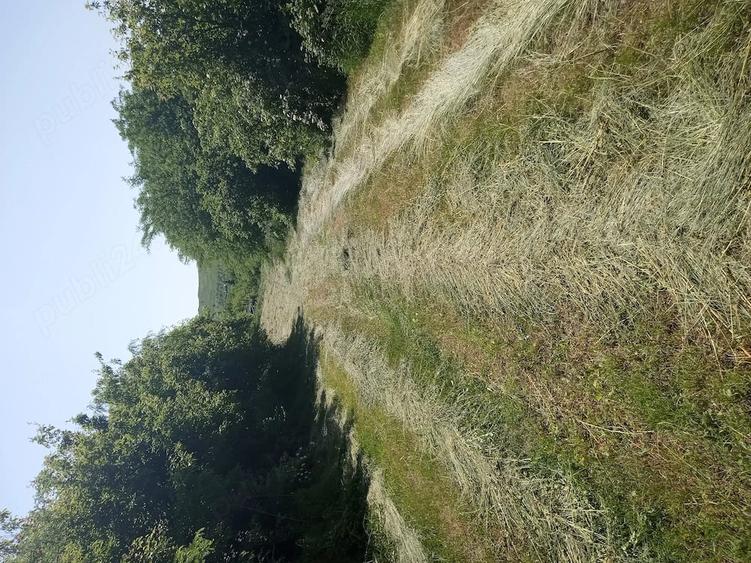 Teren de 11000 mp, în Central