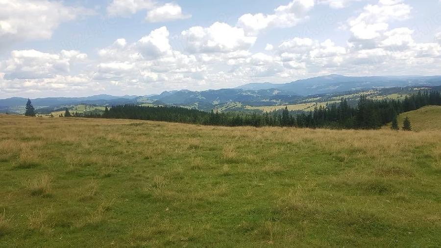 Teren de 160000 mp, în Breaza