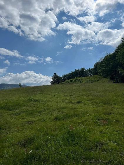 Teren de 15000 mp, în Bubești
