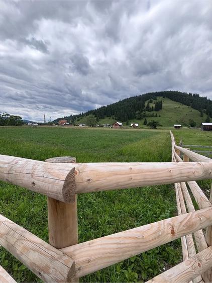 Teren de 5000 mp, în Dorna-Arini