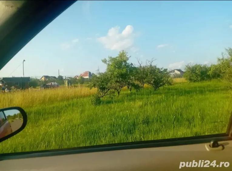 Teren în Bradu
