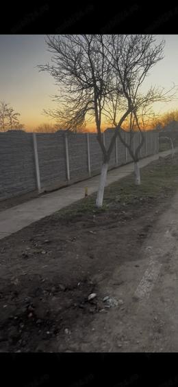 Teren de 1000 mp, în Satchinez