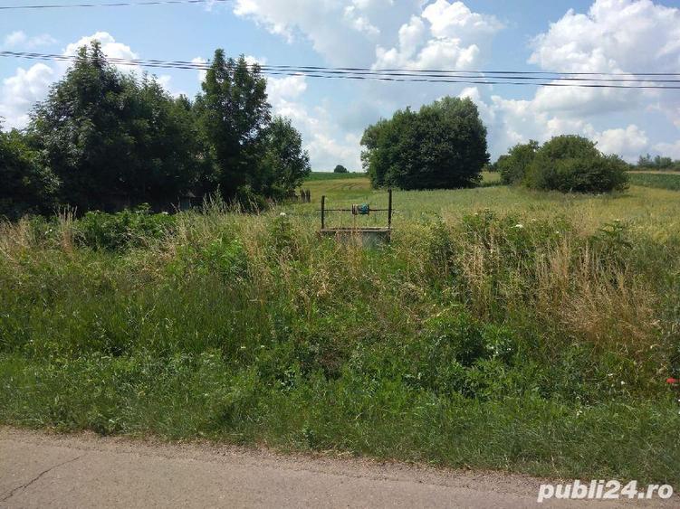 Teren de 3600 mp, în Grămești