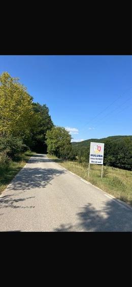 Spațiu comercial, în Vulturești