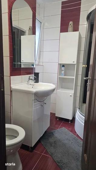 Apartament cu 2 camere decomandat, mobilat în Viilor