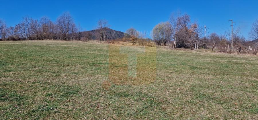 Teren Construcții intravilan de 4000 mp, în Alexandru cel Bun