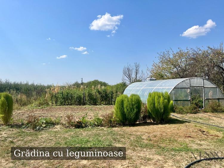 Casă individuală cu 4 camere cu Teren 1900 Mp în Tileagd