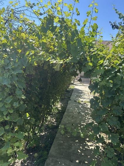 Casă cu 4 camere în Valea Călugărească