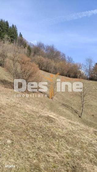 Teren de 5000 mp, în Șinca