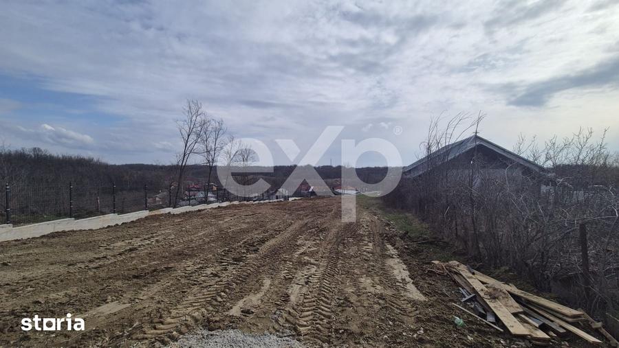 Teren de 1500 mp, în Albota