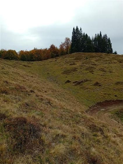 RECO Teren extravilan la Cresuia, Stana de Vale - 7