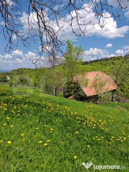 Teren de 3400 mp, în Bran