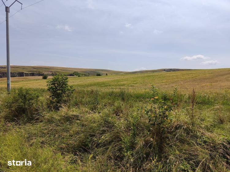 Teren de 449.03 mp, în Tureni