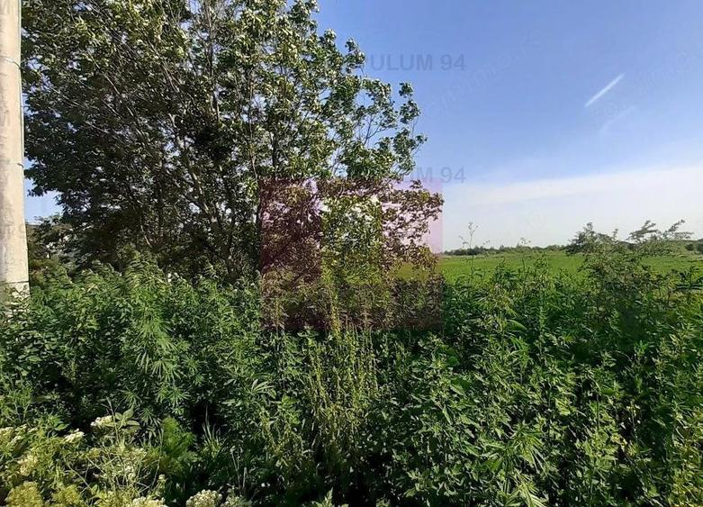 Teren de 5000 mp, în Copăceni