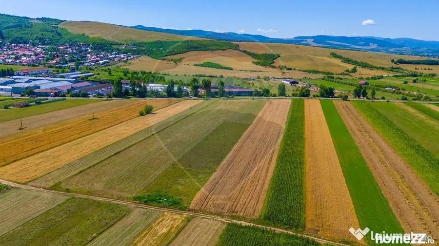 Teren de 7000 mp, în Teliu