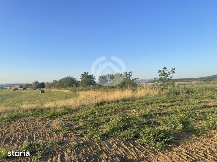 Teren intravilan in Poplaca | 1800 mp | Potential investitional - 4
