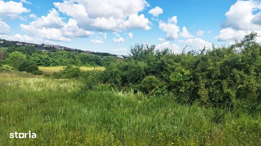 Teren de 1450 mp, în Borhanci