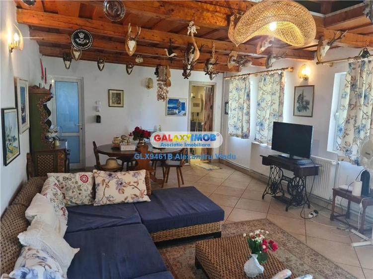 Casă cu 5 camere cu Teren 2400 Mp în Sărulești