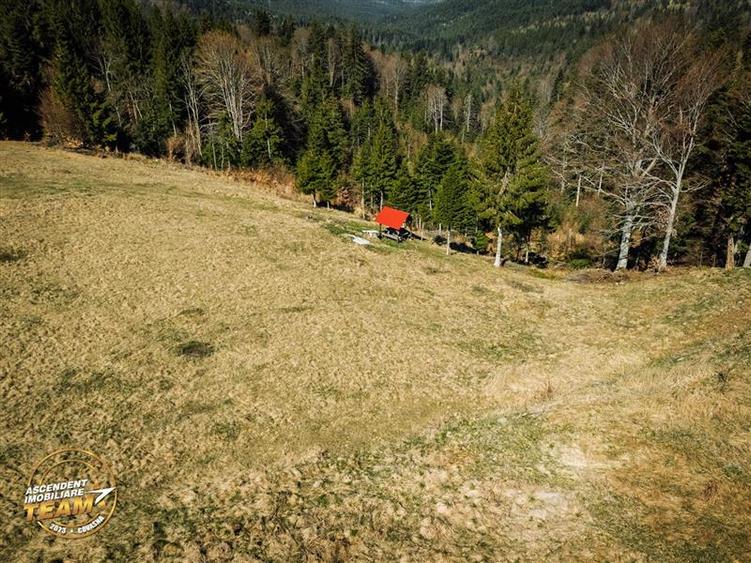 Teren Construcții intravilan de 5800 mp, în Ojdula