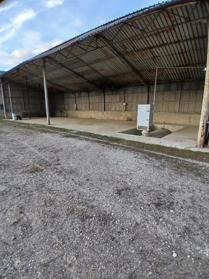 Spațiu comercial, de 20,000 mp, în Drăgăești-Ungureni