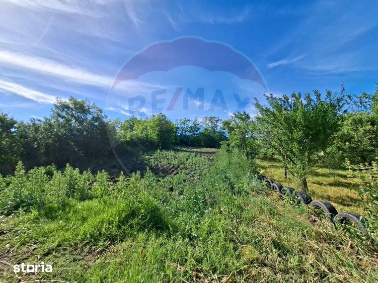Casă cu 3 camere cu Teren 5800 Mp în Central