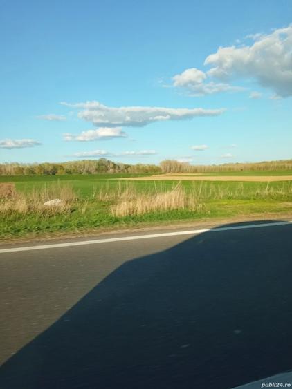 Teren de 5000 mp, în Drânceni