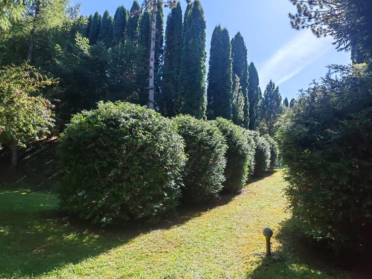 Casă individuală cu 4 camere cu Teren 1780 Mp în Piatra Arsă