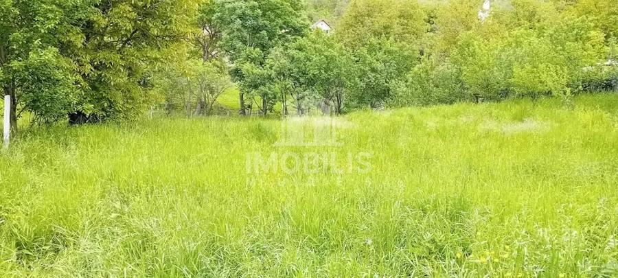 Teren de 994 mp, în Budiu Mic