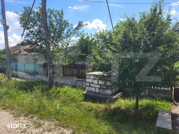 Casă cu 3 camere cu Teren 4200 Mp în Mihai Viteazu