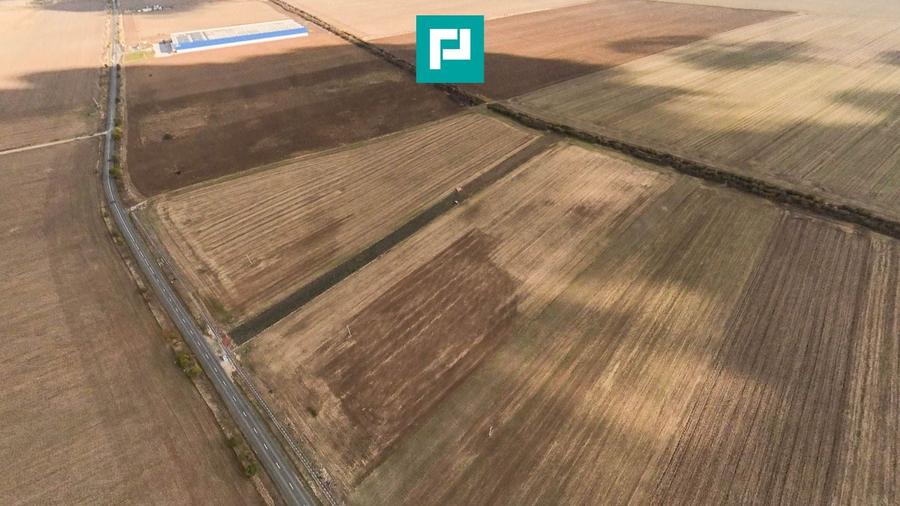 Teren agricol extravilan de 15000 mp, în Zădăreni