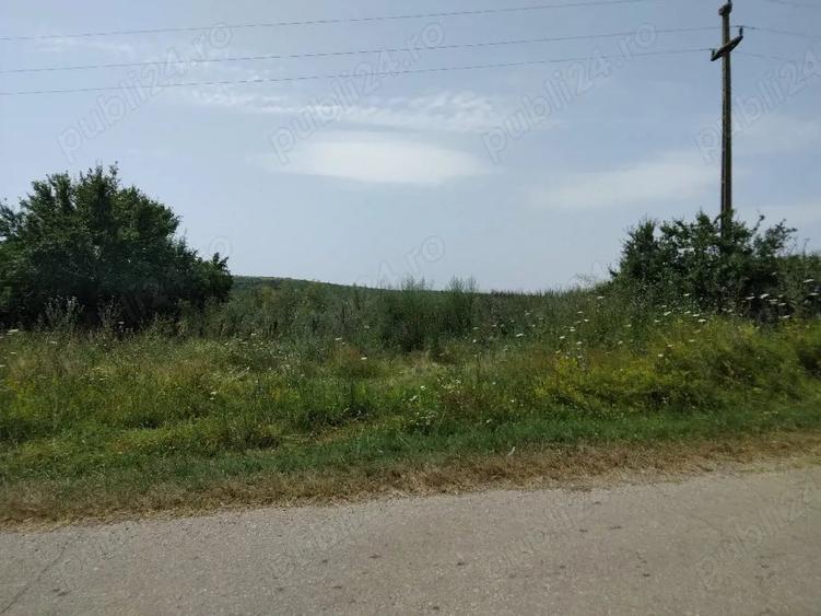 Teren de 40000 mp, în Murani