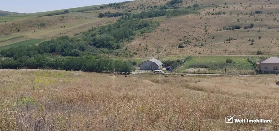 Teren de 11400 mp, în Corpadea