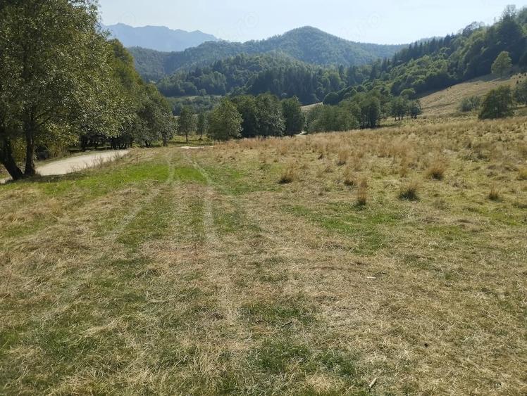 Vanzare teren - zona Plaiul Foii, Zarne?ti - 5