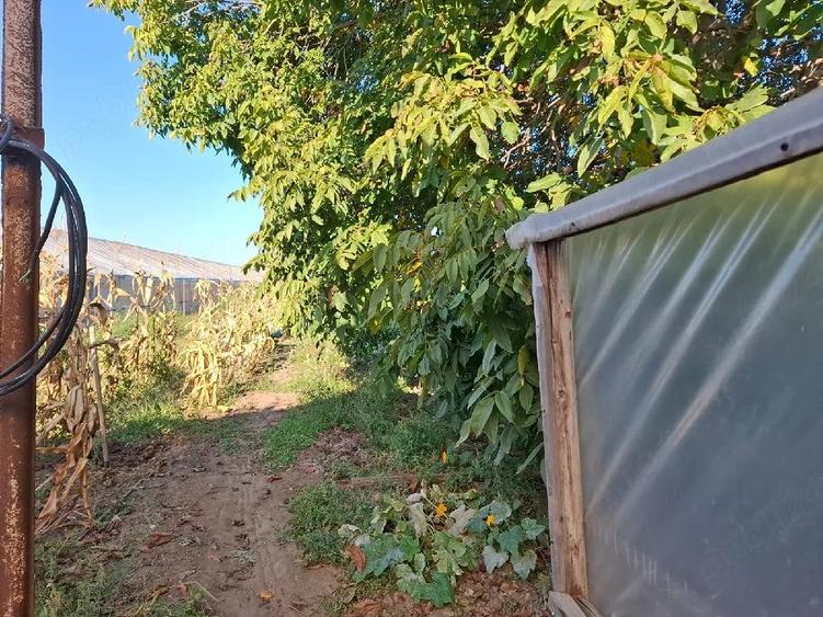 Teren de 1650 mp, în Vărsătura