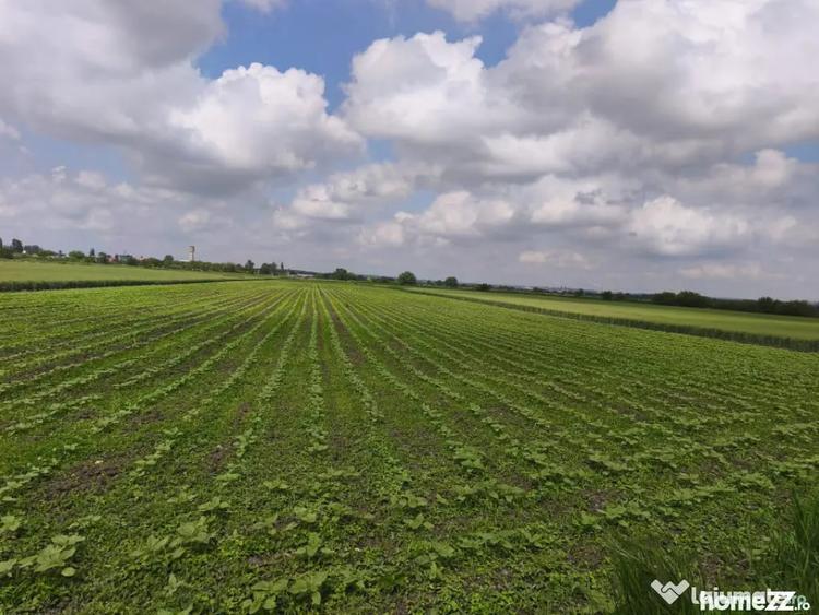 Teren de 8700 mp, în Central