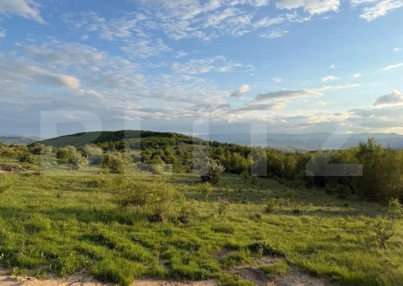 Teren Construcții intravilan de 931 mp, în Sălicea