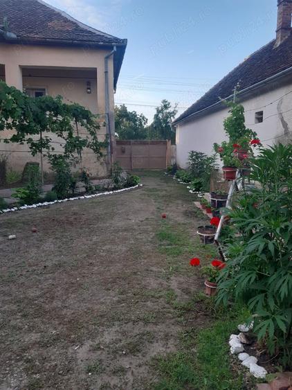 Casa de vanzare - 7