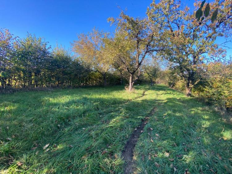 Teren de 3200 mp, în Rășinari