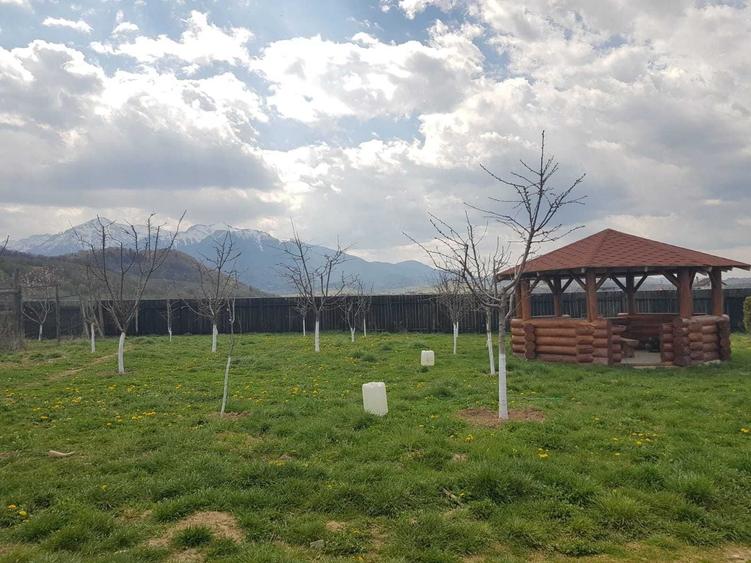 Casă cu 2 camere cu Teren 2800 Mp în Central