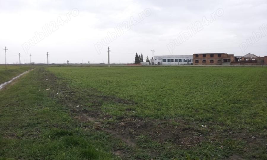 Spațiu comercial, în Cărpiniș