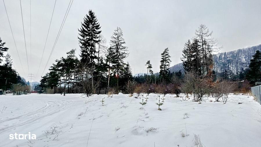 Teren de 800 mp, în Bunloc