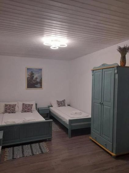 Casă cu 3 camere cu Teren 165 Mp în Sasca Montană