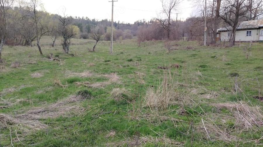Teren de 4200 mp, în Bisoca