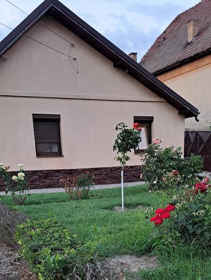 Casă cu Teren 1050 Mp în Lenauheim