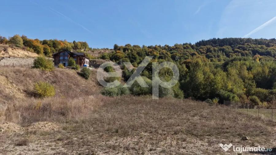 Teren în Sălicea