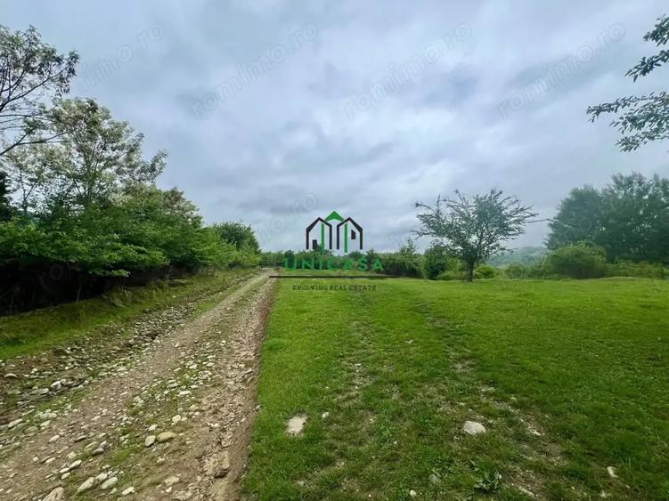 Teren de 3507 mp, în Seaca (Călimănești)