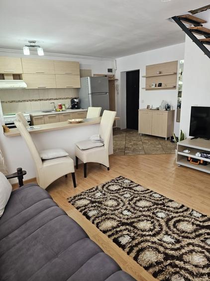 Drumul Taberei Valea Larga, 2/2, centrala, parcare, 2 aere, mobilat, utilat - 18